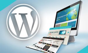 Read more about the article Website in wordpress