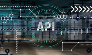 Read more about the article Application programming interface (API)